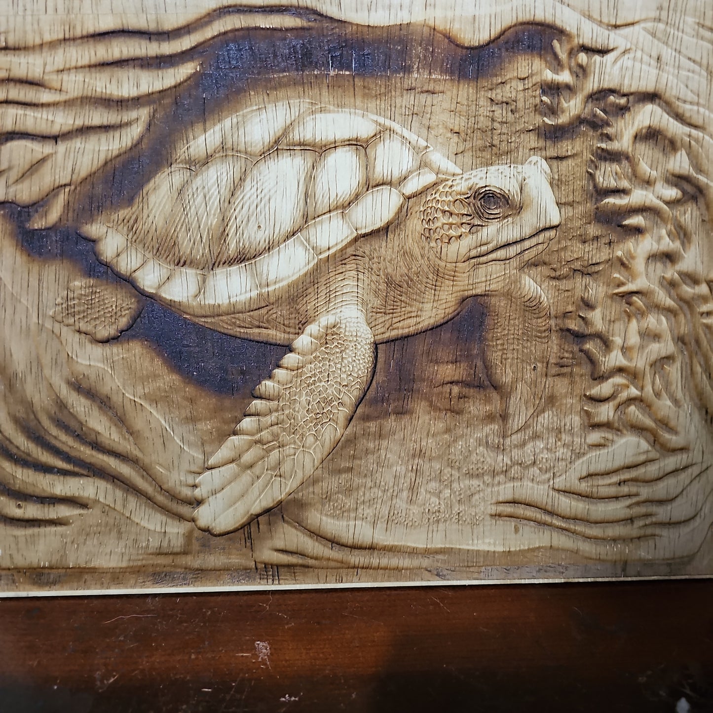 Turtle